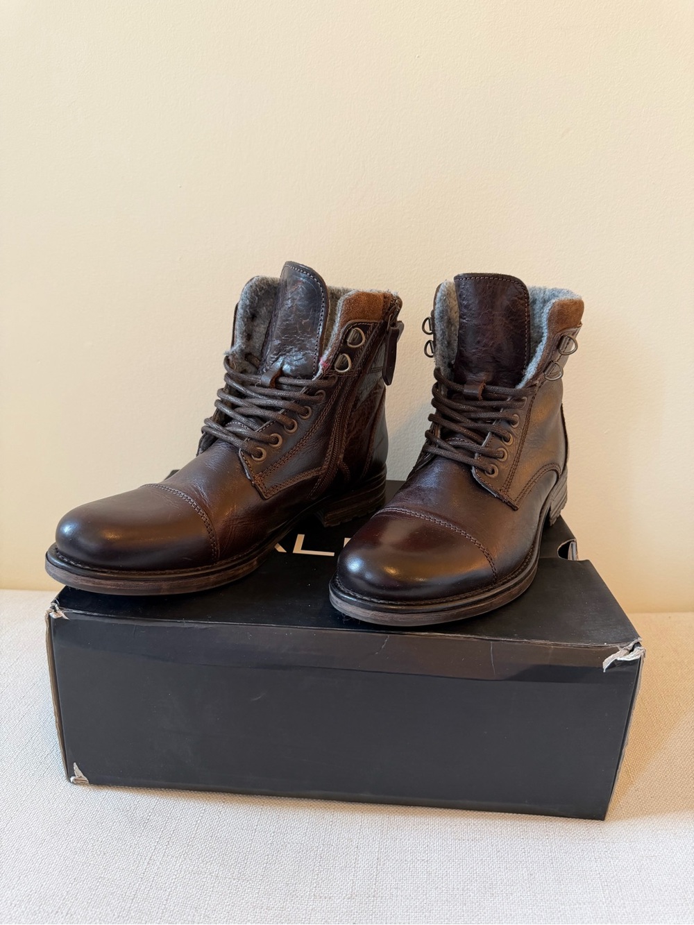 Aldo Men’s Giannola Winter Boots